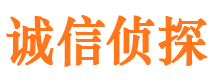 灯塔市调查公司